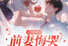 跪求主角是李沐风的小说书名叫什么-神奇文学