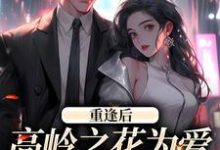 小说重逢后，高岭之花为爱变身追妻狂魔（付闻洲程又青）最新章节在哪看-神奇文学