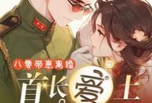 八零带崽离婚,首长爱上缺德的我大结局,黎书安沈砚南小说无广告阅读-神奇文学