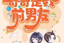 跪求主角是陆灵兮裴辰霖的小说书名叫什么-神奇文学