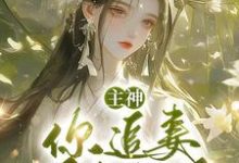 完结版主神,你追妻又失败了?在哪免费看,夏溪苏礼小说在线阅读-神奇文学
