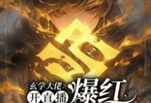 玄学大佬开直播,爆红阴阳两界最新章节玄学大佬开直播,爆红阴阳两界在线阅读-神奇文学