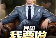 林江宇在线阅读，民国：我要做乱世枭雄小说完结版章节-神奇文学