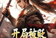 开局被贬,我要掠夺江山大结局,赵惊鸿嬴政小说无广告阅读-神奇文学