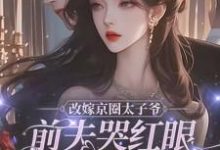 林江宇最新章节列表改嫁京圈太子爷,前夫哭红眼求我别嫁免费阅读-神奇文学