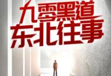 沈从文林佳小说免费阅读最新章节列表,九零黑道东北往事小说在线看-神奇文学
