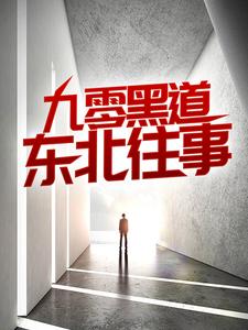 沈从文林佳小说免费阅读最新章节列表，九零黑道东北往事小说在线看