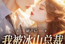 破产后，我被冰山总裁接回家（涂鸢谢引鹤）最新章节免费在线阅读-神奇文学