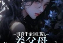 当真千金回归后,养父母要我嫁农夫精彩章节阅读(司音)免费阅读大结局-神奇文学