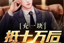 充一块抵十万后，我赢麻了在线看，沐青阳陈琪雯小说大结局在哪免费看-神奇文学