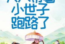 首辅大人不好了！夫人带着小世子跑路了免费阅读，程颂安崔元卿大结局无弹窗-神奇文学