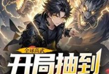全球高武,开局抽到荒古圣体热门小说(许天)在线阅读无弹窗-神奇文学