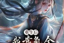 跪求主角是沈云的小说书名叫什么-神奇文学