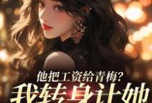 主人公是禾念安江予川的小说他把工资给青梅?我转身让她写欠条免费阅读-神奇文学