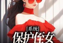 白书宁安泽珩小说免费阅读最新章节列表,系统:保护侄女就能得奖金小说在线看-神奇文学