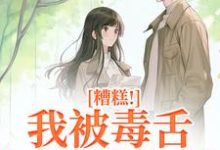 糟糕!我被毒舌霸总缠上了免费阅读,迟笙沈京洲大结局无弹窗-神奇文学