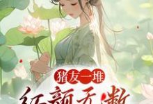 猪友一堆，红颜无数，这叫年少有为精彩章节在线免费阅读（裴双郑子林）-神奇文学