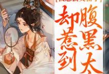 小说我想去父留子,却惹到腹黑太子主角楚云汐顾承沐免费阅读-神奇文学