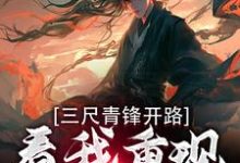 三尺青锋开路，看我重现家族荣耀精彩章节在线免费阅读（叶凌天武明月）-神奇文学