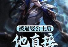 完结版被逼娶公主后,他直接坐了皇位在哪免费看,王修苏晚晴小说在线阅读-神奇文学