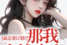 霸总要订婚？那我拿钱走人（沈徽林项明峥）完结版免费阅读-神奇文学