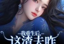 我重生后,这渣夫咋还换人格了在线看,林菀宁小说大结局在哪免费看-神奇文学