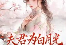 夫君为白月光守身如玉?我成全!免费阅读,宋絮晚季墨阳大结局无弹窗-神奇文学