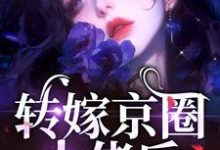 苏婉禾司北琛小说的结局在哪可以看,转嫁京圈大佬后,前任悔不当初免费阅读完结版-神奇文学