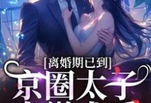 离婚期已到！京圈太子卑微求爱精彩章节在线免费阅读（沈青瓷席星野）-神奇文学