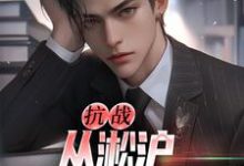主角是叶青山的小说抗战:从淞沪保卫战开始在哪免费看-神奇文学