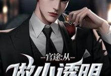 小说官途：从做小透明开始（何涛）最新章节在哪看-神奇文学