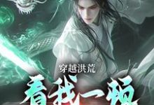 穿越洪荒：看我一顿骚操作（主角吴天后土）完结版免费阅读-神奇文学