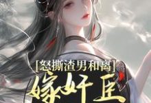 完结版怒撕渣男和离，嫁奸臣高攀不起在哪免费看，沈蕴之宋窈窈小说在线阅读-神奇文学