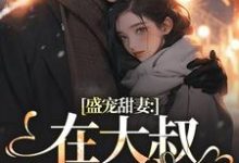 盛宠甜妻:在大叔怀里沦陷(主角安姩盛怀安)完结版免费阅读-神奇文学