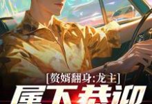 赘婿翻身：龙主，属下恭迎您归位精彩章节阅读(叶尘林含雪)免费阅读大结局-神奇文学