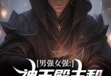 男强女强：神王殿主和女特工闪婚了热门小说(林晨叶寒霜)在线阅读无弹窗-神奇文学