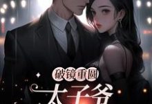破镜重圆：太子爷他太霸道大结局，黎念靳宴深小说无广告阅读-神奇文学