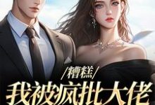 跪求主角是莫妗笙凌寅燊的小说书名叫什么-神奇文学
