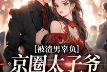 被渣男辜负,京圈太子爷化身治愈系在线看,沈颜季辞渊小说大结局在哪免费看-神奇文学