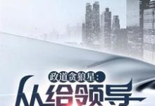 政道贪狼星：从给领导平反开始完结版陈诚楚瑜清免费阅读大结局-神奇文学