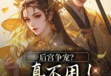 主人公是温梨儿晏时叙的小说后宫争宠？真不用！我撒个娇的事免费阅读-神奇文学