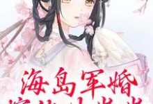 精彩章节阅读海岛军婚：嫁他生崽崽(沈竹霍锦之)免费小说在线看-神奇文学