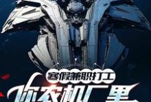 主角是季成的小说寒假兼职打工,你农机厂里开出空天航母?在哪免费看-神奇文学