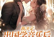 我决定出国学音乐后,大律师后悔了(主角宋棉贺淮川)完结版免费阅读-神奇文学