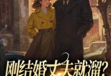 刚结婚丈夫就溜？姐真不吃人！（丁遥香陆舰）最新章节免费在线阅读-神奇文学