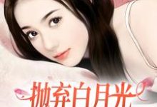 求助这本抛弃白月光,我爱上了童养媳小说在哪里可以看完结版-神奇文学
