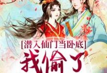 小说潜入仙门当卧底,我偷了谪仙的心(宋时卿谢寂玉)最新章节在哪看-神奇文学