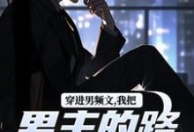 穿进男频文，我把男主的路给堵了！热门小说(陆池苏语念)在线阅读无弹窗-神奇文学