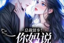 总裁留步!你妈说让你娶我免费阅读,苏苒染霍司霆大结局无弹窗-神奇文学