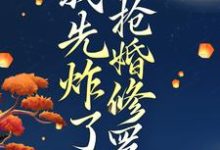 叶楚月轩辕宸小说免费阅读最新章节列表，穿越后，我先炸了抢婚修罗场小说在线看-神奇文学